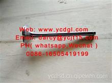 Exhaust valve 排气门VG1560050027/VG1560050027