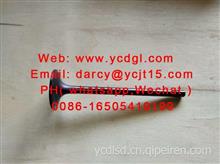 重汽--进气门VG1096050015Intake valve VG1096050015