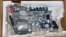 CB6P826/CB6P826A中国重汽PS8500燃油喷射泵总成VG1560080021 WD615.87/车机(放气阀增压器)燃油泵VG1560080021