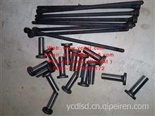 Push rod and  tappet  气门挺住 ，气门推杆  for Changchai  4G33T15091 engine /4G33T15091 