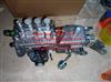 Injection pump 高压油泵4100LYA   for WEICHAI 495G  engine 4100LYA