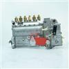 原装康明斯发动机零件 4093766 6BT燃油泵/4093766