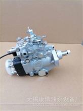 VE泵196000-4191发动机燃油泵总成22N01418适用于TOYOTA22100-5D230 发动机VE4/10F2200RND419196000-4191