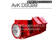 中联重科工程机械设备发电机AvK DSG99交流发电机零件DSG99