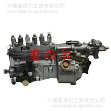 适用于工程机械发动机配件柴油燃油泵喷油泵F000409244/F000409244