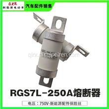 RGS7L-250A（750V）135MM熔断器新能源中通RGS7L-250A（750V）135MM