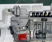龙口高压油泵BP12U0潍柴WD615原装正品 主机厂编号：612601080591612601080591