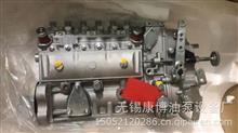 北京亚新油泵4093811高压油泵柴油泵40938114093811