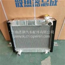 1301010-C65321东风多利卡水箱散热器总成1301010-C65321