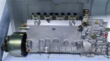 ZEXEL柴油发动机101891-9001喷油泵101089-0520高压油泵3720220864101891-9001