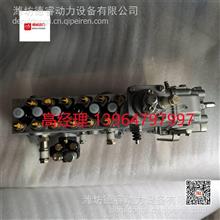 潍柴博杜安系列柴油机机械喷油泵总成X6231.492W