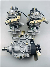 高质量全新柴油喷油泵燃油泵VE泵VE3/9F1500L376AG//VE3/10F750R373