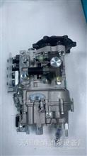 无锡LLF71威孚4PWS高压喷油泵1001110113总成1111100AA0K-YFB10W适用于F801050823428G发动机/4PWS