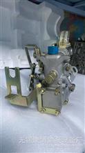 山东康达高压油泵总成4Q308适用BH4Q80R8发动机B48-AS10/4Q308