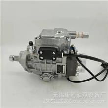 VE泵0460404977BOSCH喷油泵用于VE4/10E2075R700发动机/0460404977
