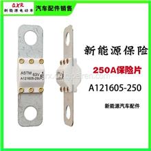 A121605-250A熔断器ASTM/A121605-250A